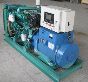 通山发电机出租